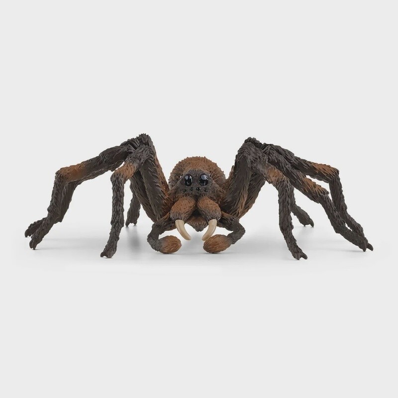 13987 Aragog