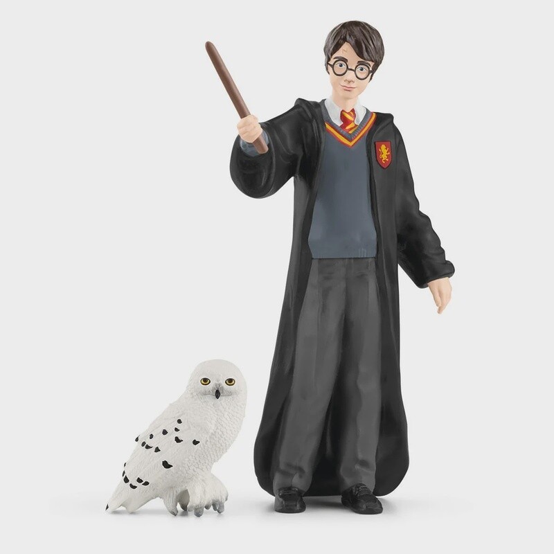 42633 Harry and Hedwig