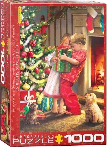 6000-5640 Christmas Surprise by Simon Treadwell