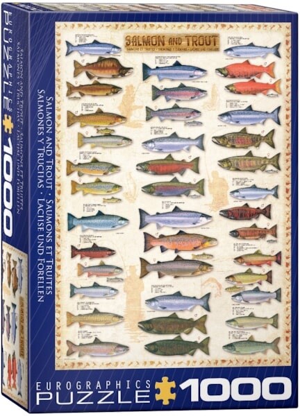 6000-0311 Salmon &amp; Trout