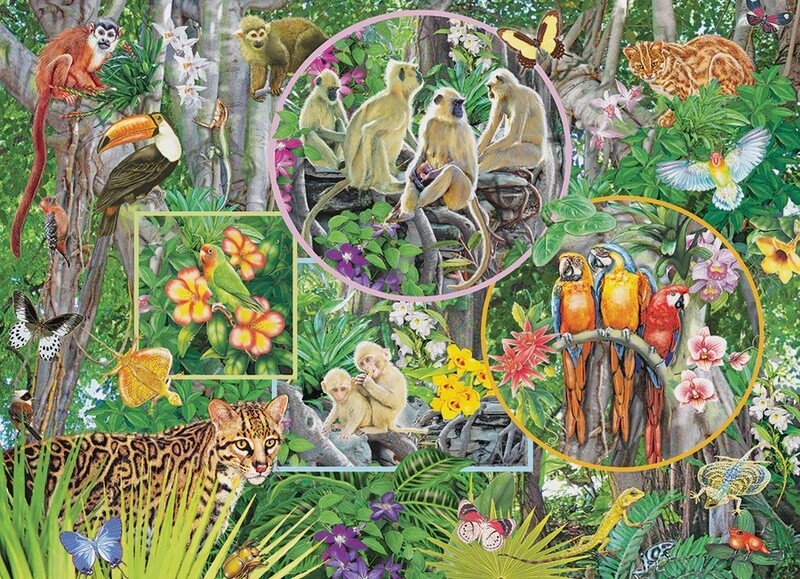 47004 Rainforest Magic (Family)