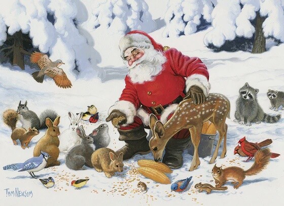 47028 Santa Claus and Friends (Family)