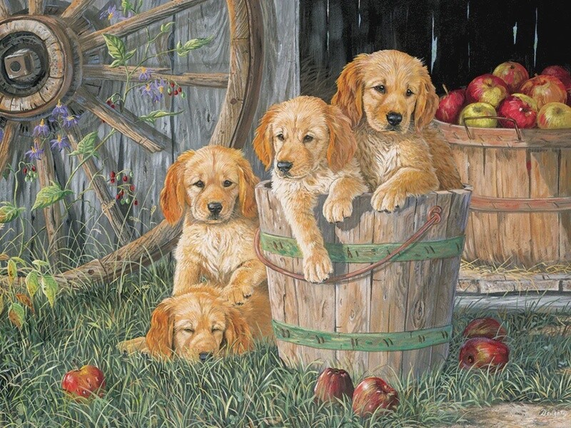 54638 Puppy Pail (Family)