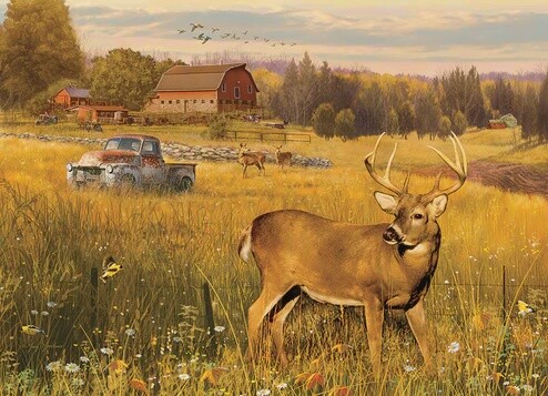 45070 Deer Field