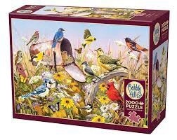 49013 Field Song