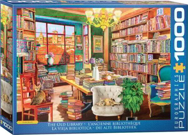 6000-5888 The Old Library by G.Borelli