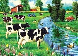 58906 Cow Stream (tray)