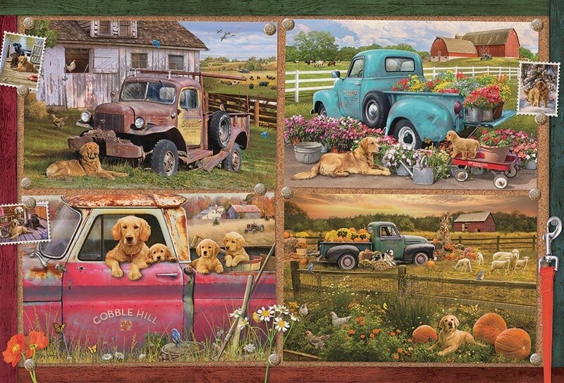 49018 It's a Dog's Life