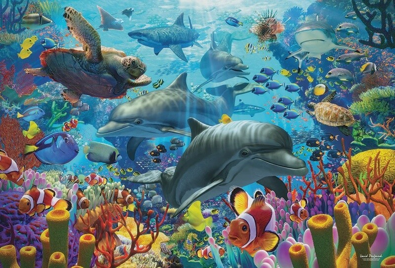 49007 Coral Sea