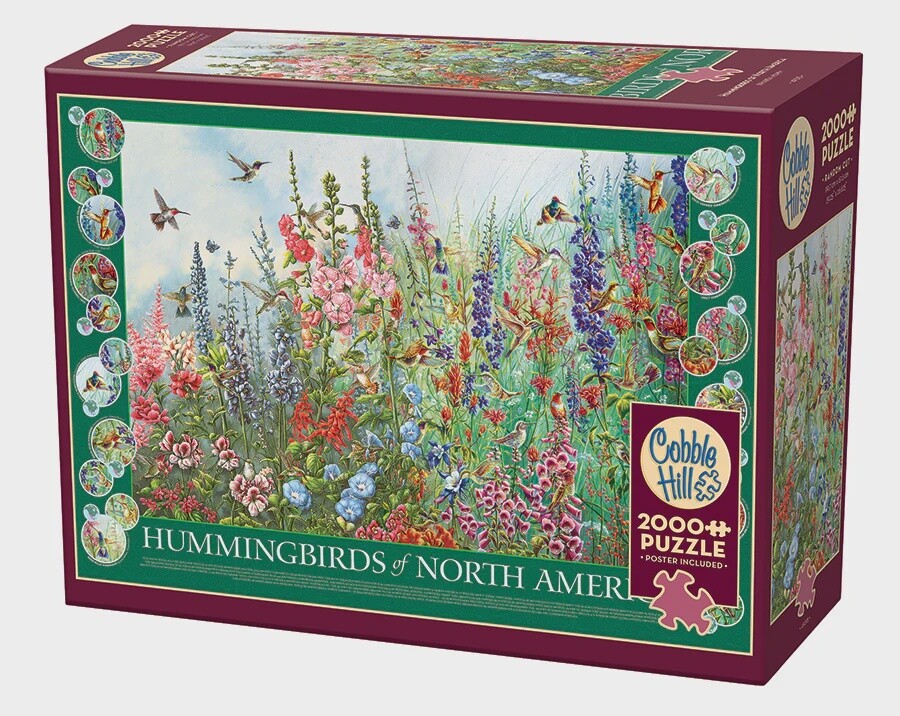 49015 Hummingbirds of North America