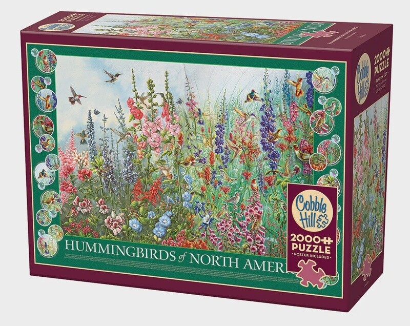 49015 Hummingbirds of North America