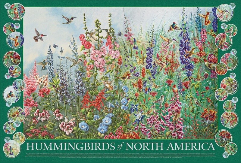 49015 Hummingbirds of North America