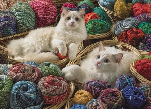57155 Ragdolls (Modular 1000)