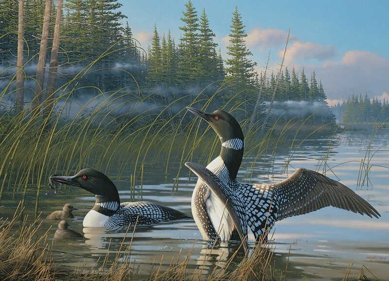 57243 Common Loons (Modular 500)
