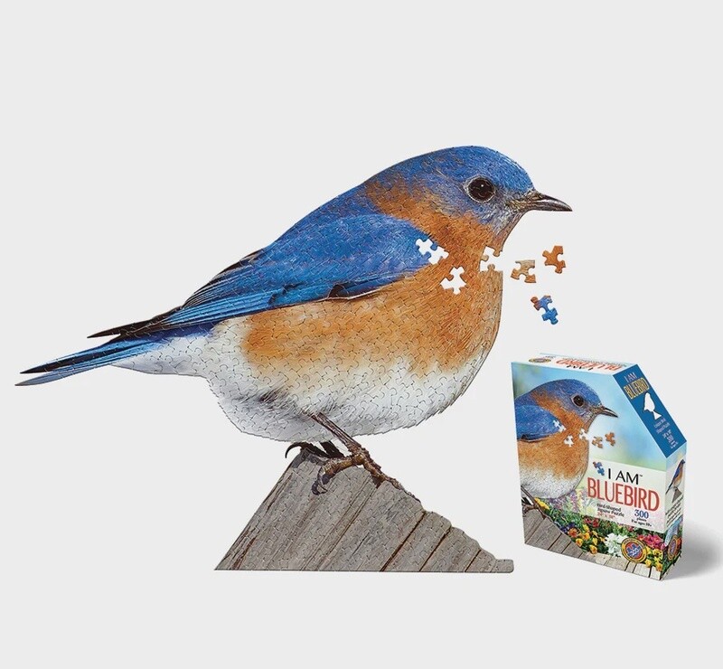 M-42758 I AM Bluebird (300 pc)