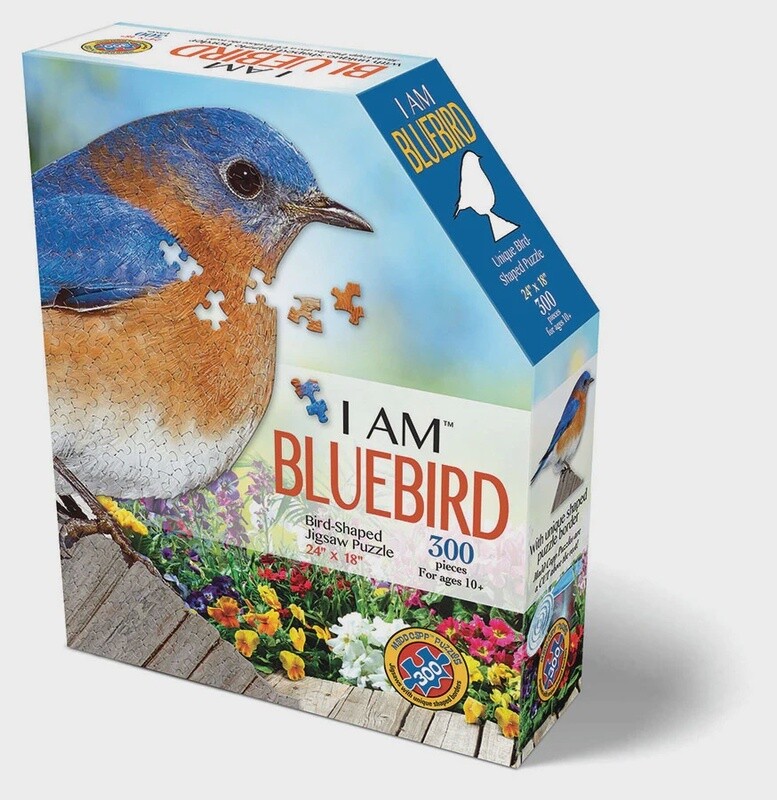 M-42758 I AM Bluebird (300 pc)