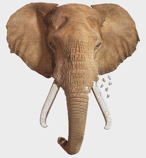 M-45735 I AM Elephant (300 pc)