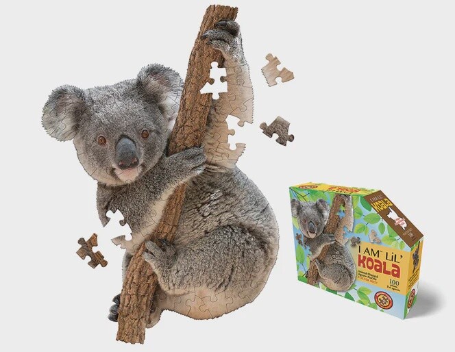 M-56947 I AM Lil' Koala (100 pc)