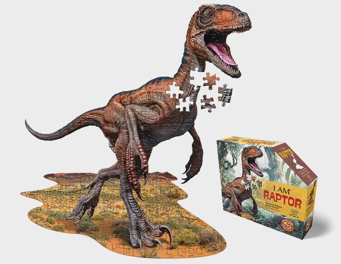 M-42760 I AM Raptor (100 pc)