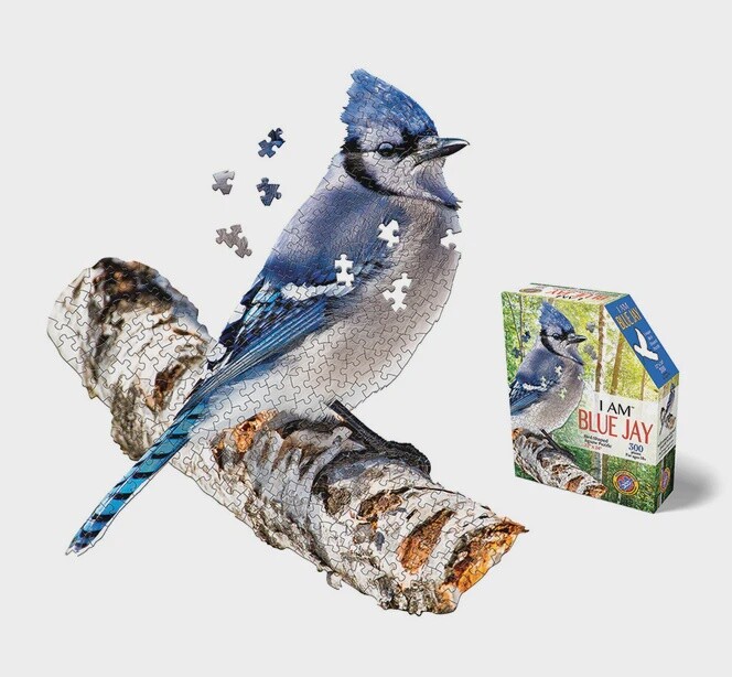 M-56940 I AM Blue Jay (300 pc)