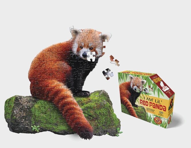 M-47979 I AM Lil' Red Panda (100 pc)