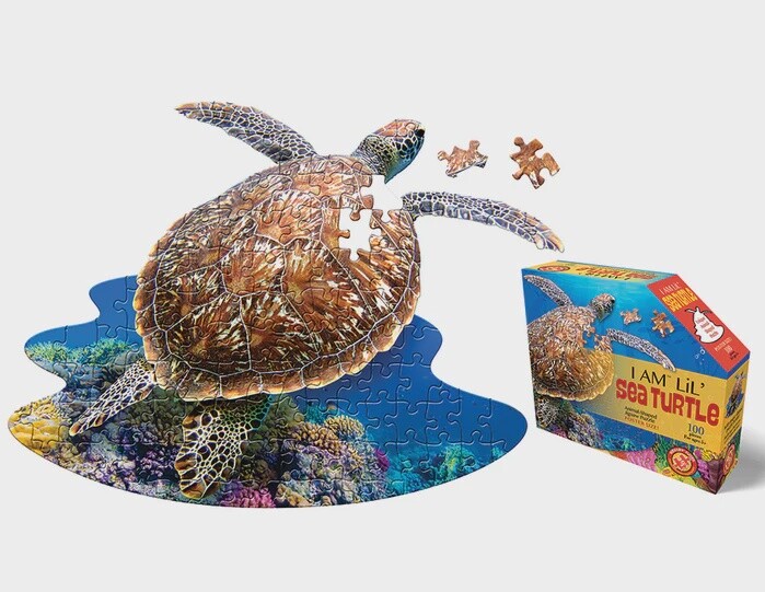 M-47980 I AM Lil' Sea Turtle (100 pc)