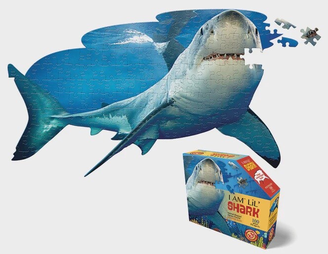M-31801 I AM Lil' Shark (100 pc)