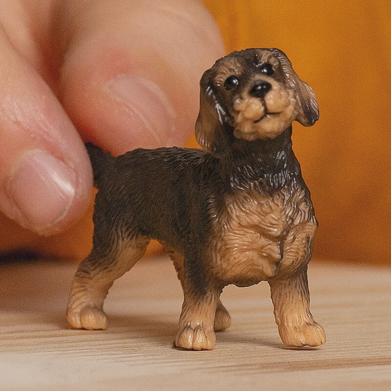 13972 Wire-Haired Dachshund