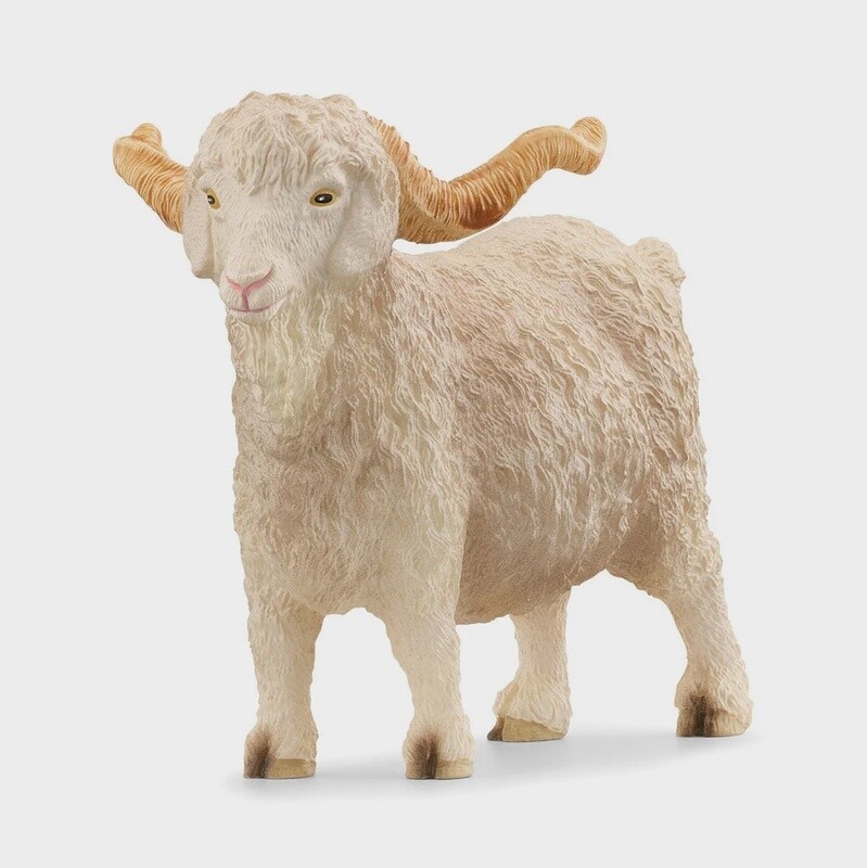 13970 Angora Goat