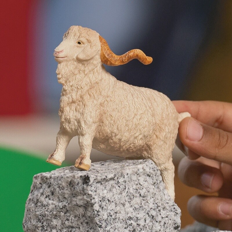 13970 Angora Goat