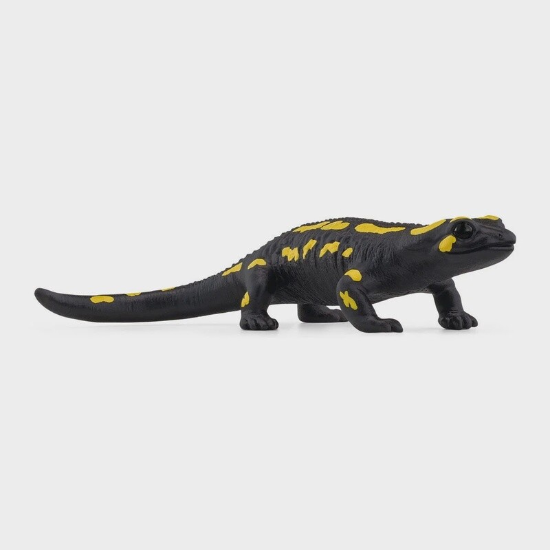 14870 Fire Salamander