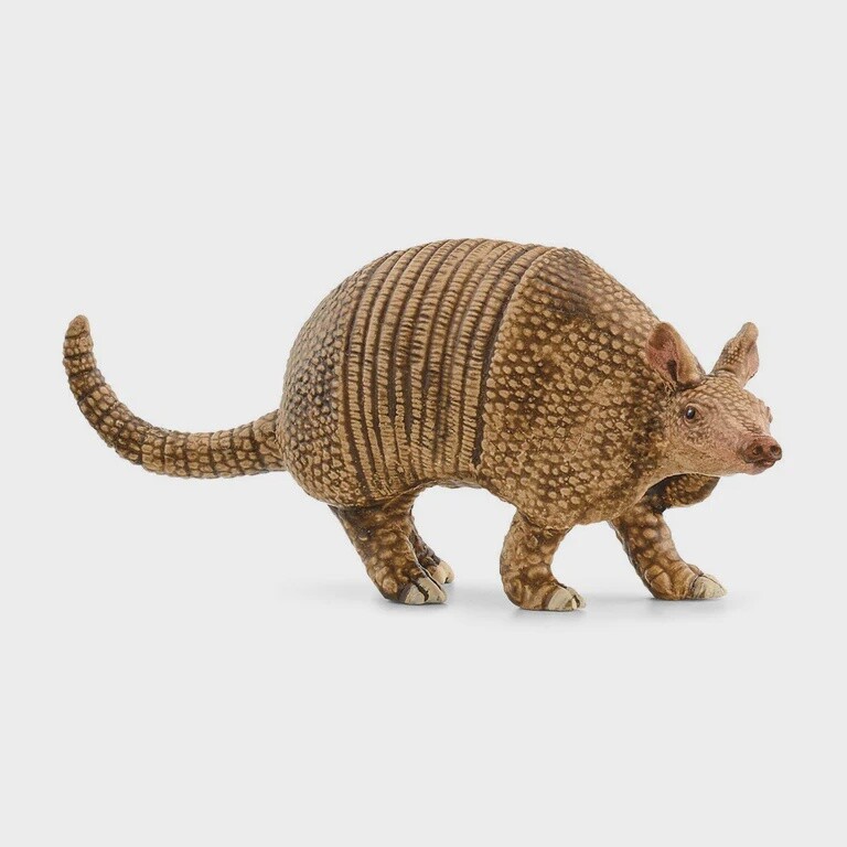 14874 Armadillo