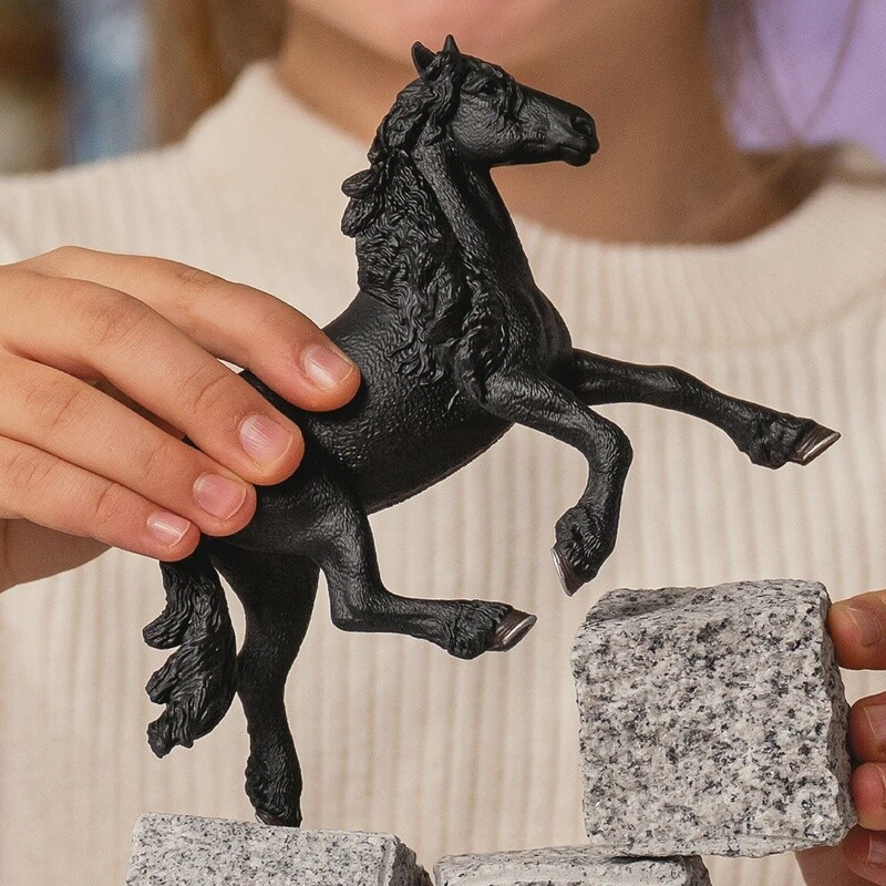 13975 Friesian Stallion