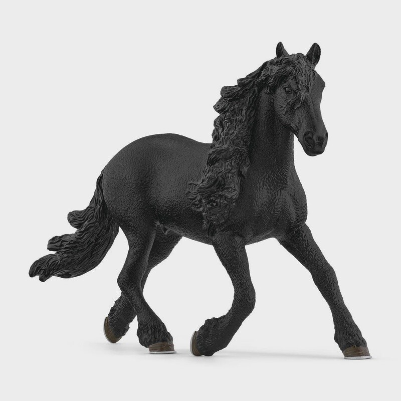 13975 Friesian Stallion