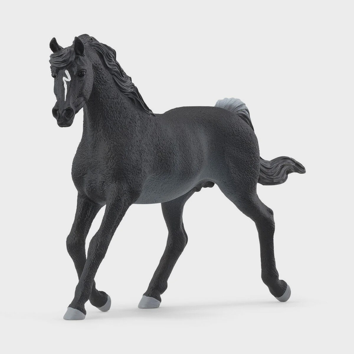 13981 Rabicano Arabian Stallion