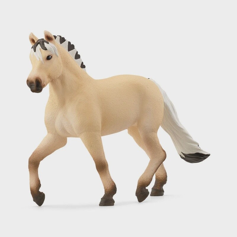 13980 Norwegian Fjord Horse Mare
