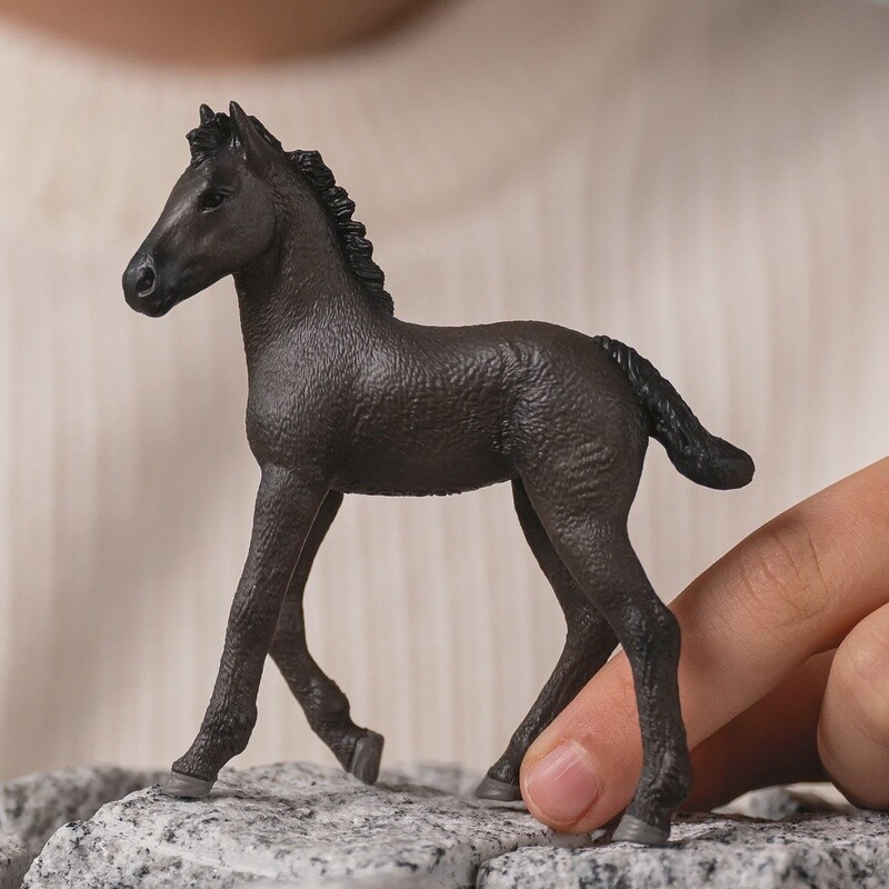 13977 Friesian Foal