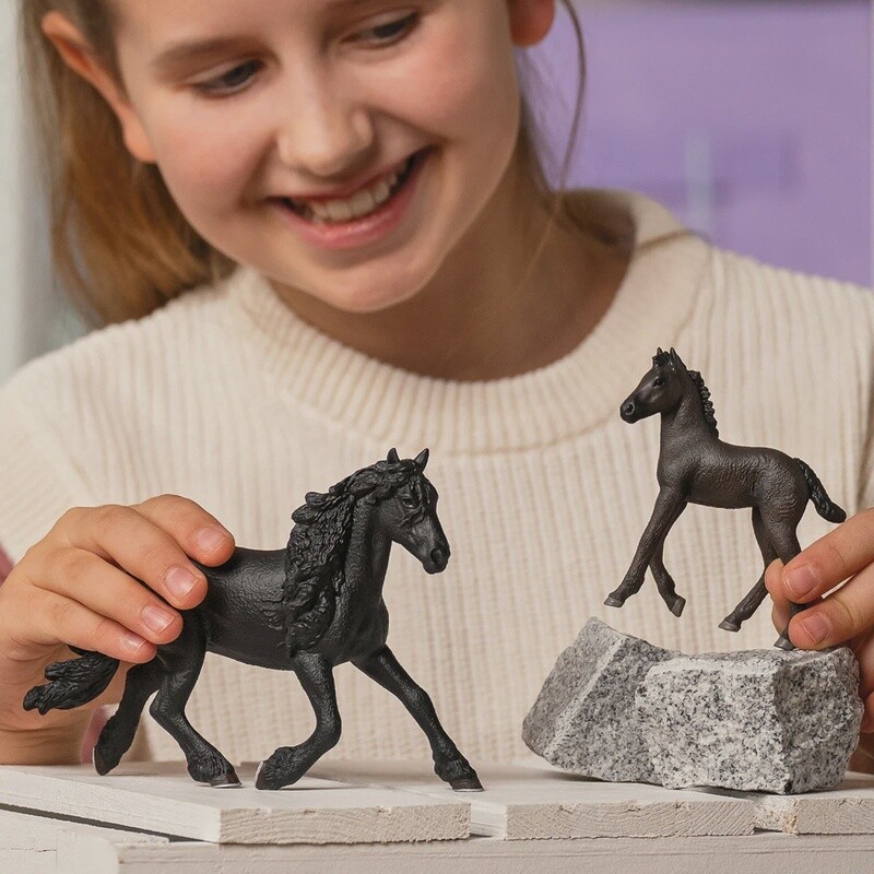 13977 Friesian Foal