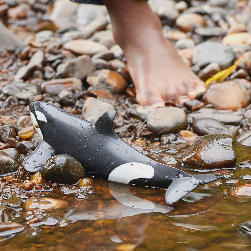 14807 Killer Whale