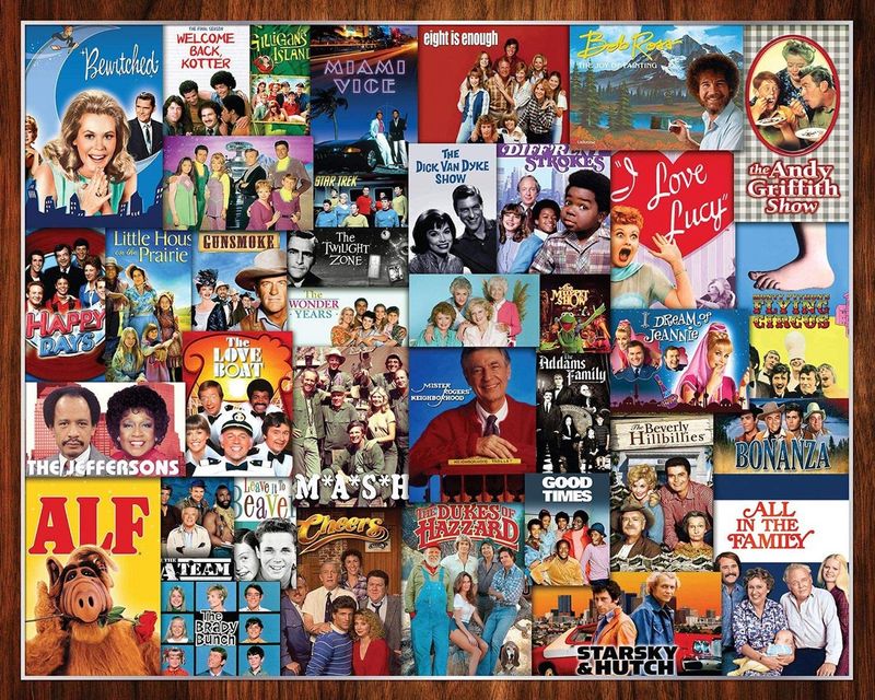 SP3310943 N 1000PC PUZZLE-WHAT'S ON TV?