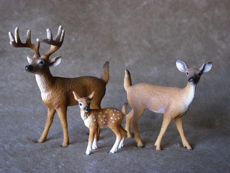 14819 White-tailed doe