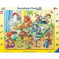 05662 Animal Daycare
