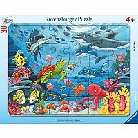 05566 Underwater Friends