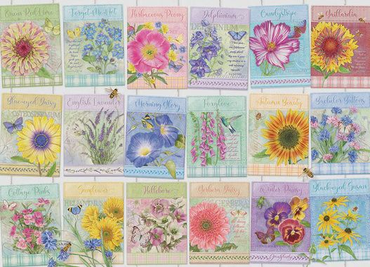 45080 Seed Packets