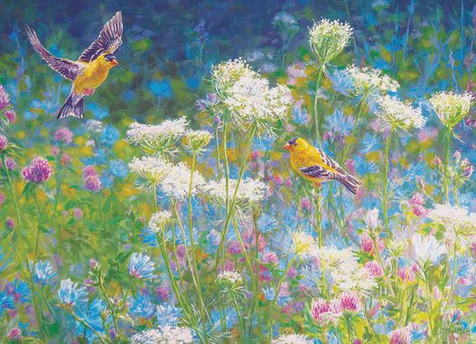 40300 Visiting the Meadow