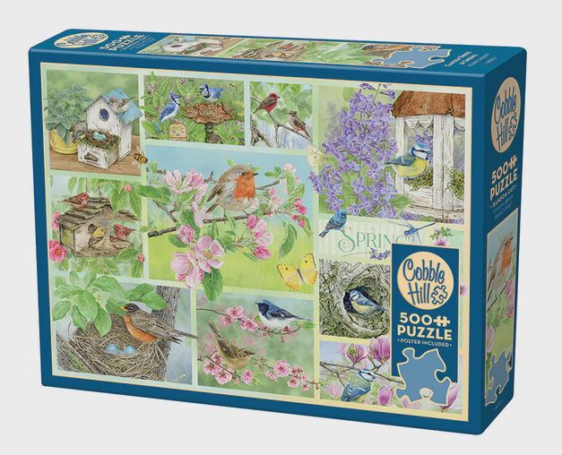 45101 Garden Birds in Spring