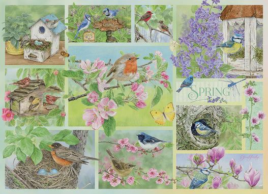 45101 Garden Birds in Spring