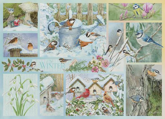 45104 Garden Birds in Winter