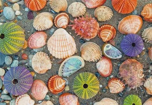 12001326 Puzzle Moments: By the Seashore  300 Pc Puzzle
