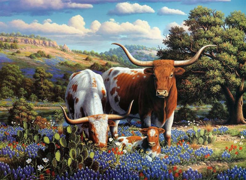 12000826 Loving Longhorns 500 pc Puzzle